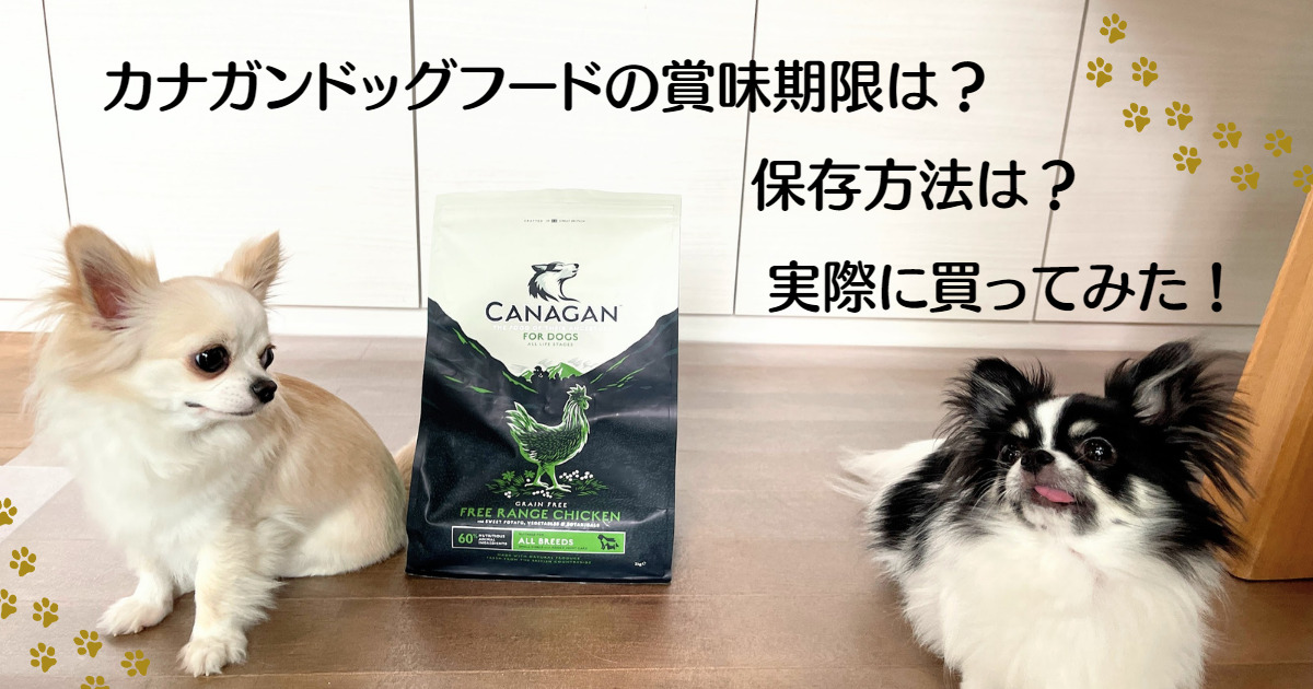 日本限定 カナガンドッグフード(2kg)×3袋 | www.oric.kinnaird.edu.pk