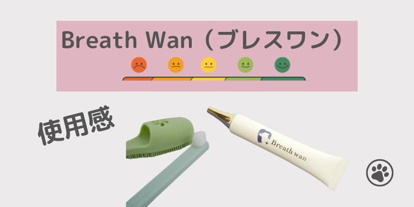 ブレスワン(Breath wan)口コミ 使用感