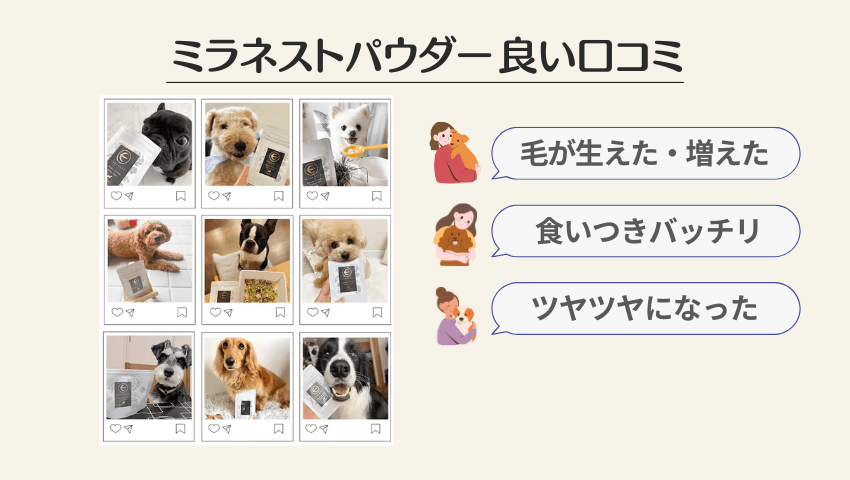 ミラネストパウダー　口コミ　インスタの良い口コミ