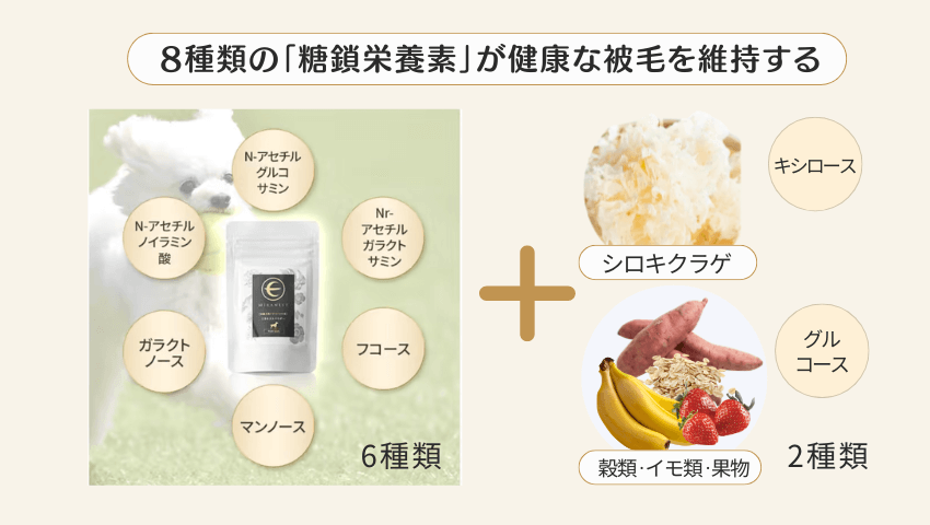 ミラネストパウダー8種類の糖鎖栄養素の解説する図解