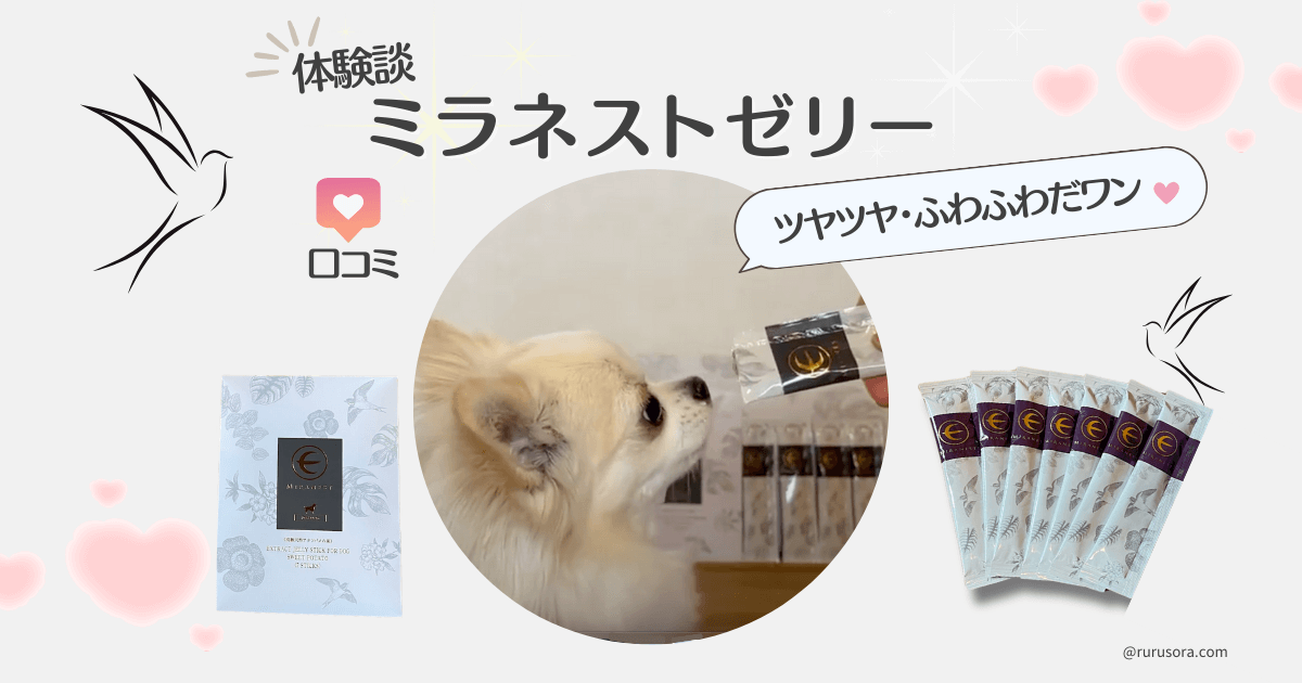 ミラネストゼリー　口コミ　体験談　犬のアイキャッチ画像