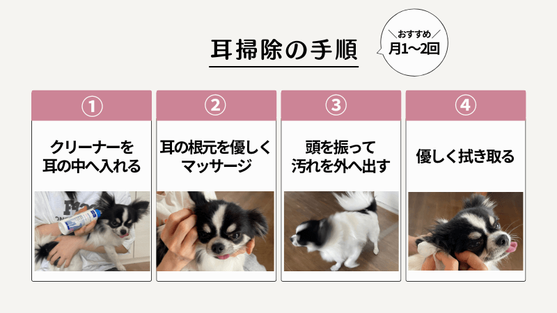 犬の耳掃除の手順の図解