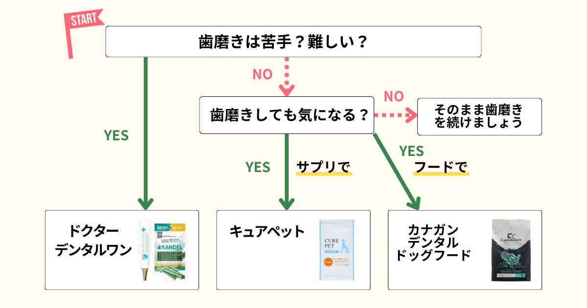 犬の歯磨き選びのYES NOチャートの図解