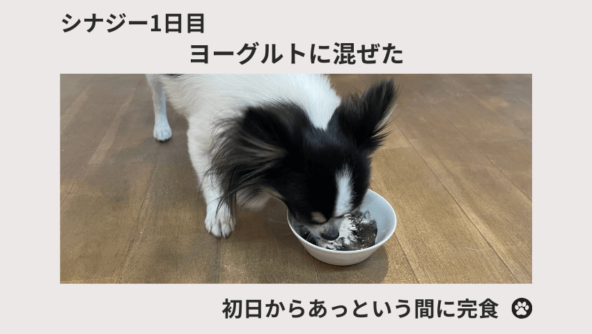 CiNAG（シナジー）レビュー
1日目の愛犬の様子を表す図解