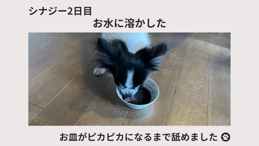 CiNAG（シナジー）レビュー
2日目の愛犬の様子を表す図解