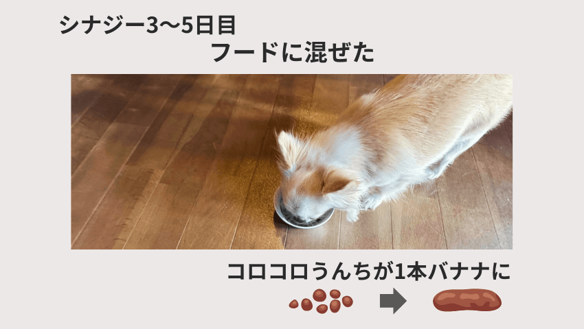 CiNAG（シナジー）レビュー
3〜5日目の愛犬の様子を表す図解