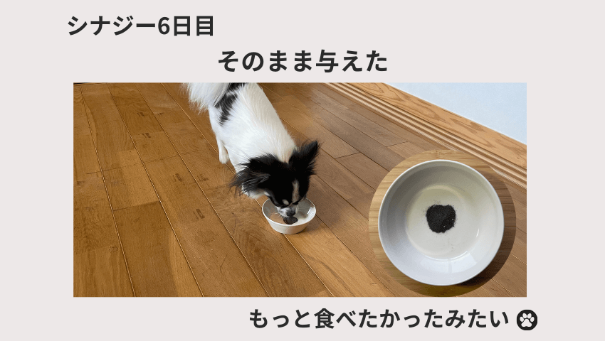 CiNAG（シナジー）レビュー
6日目の愛犬の様子を表す図解