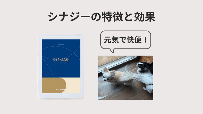 CiNAG（シナジー）レビュー
特徴と効果