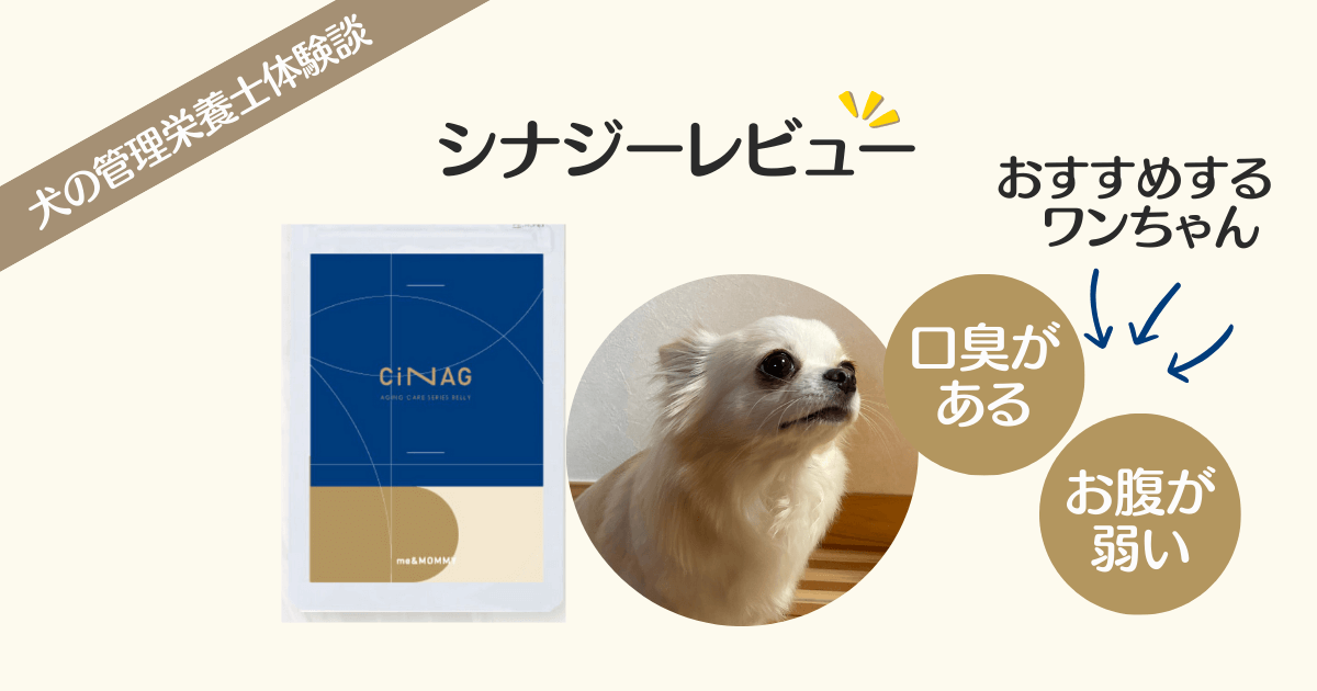 Cinag レビュー アイキャッチ画像