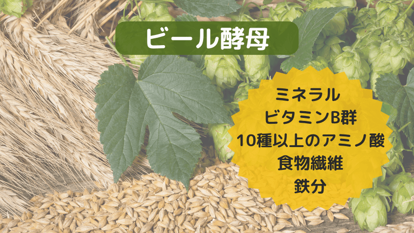 あいこな（aikona） 副作用 ビール酵母