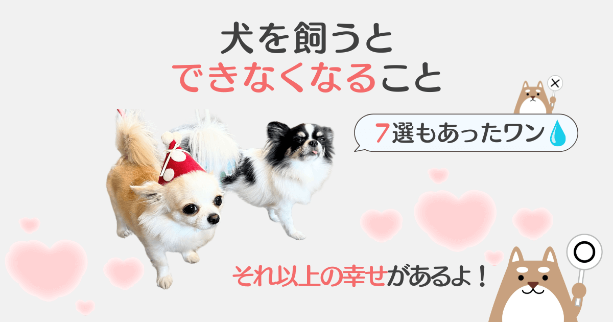 犬を飼うとできなくなること 7選