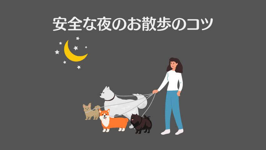 犬 光る首輪 目に悪い の記事の
安全な夜のお散歩のコツ