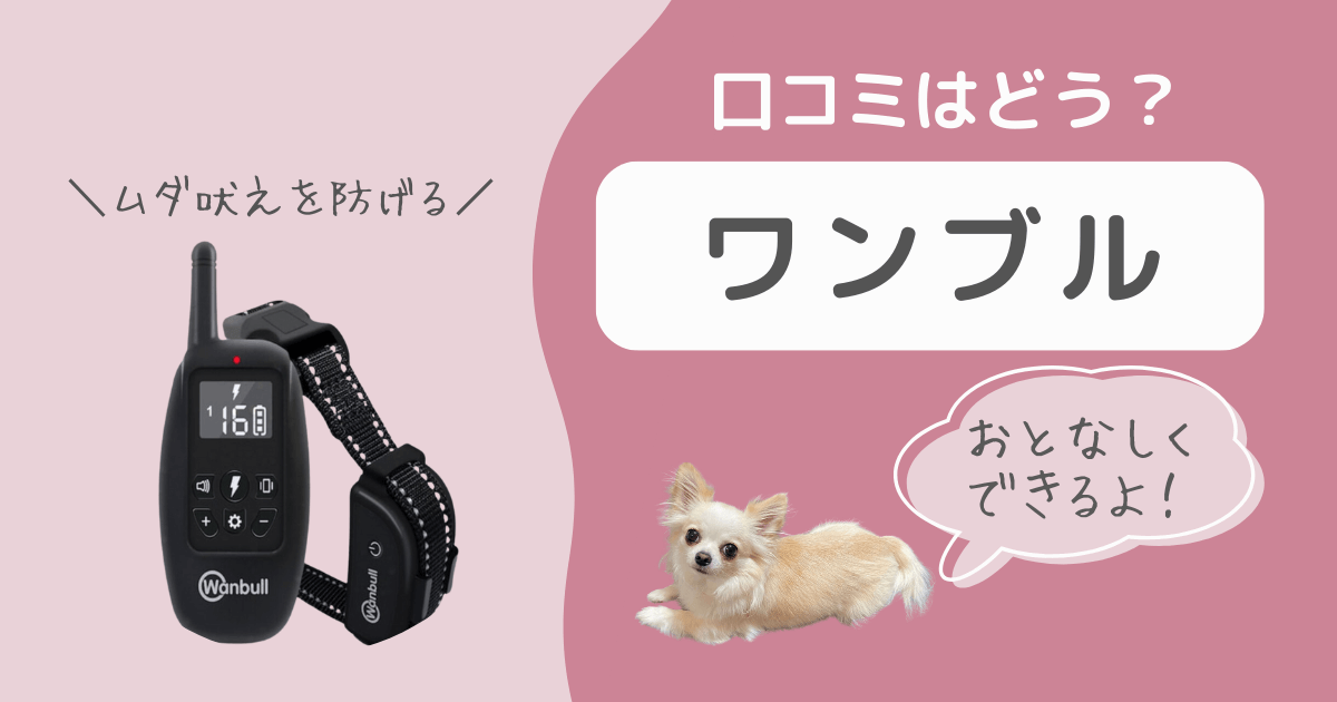 ワンブル口コミ アイキャッチ画像