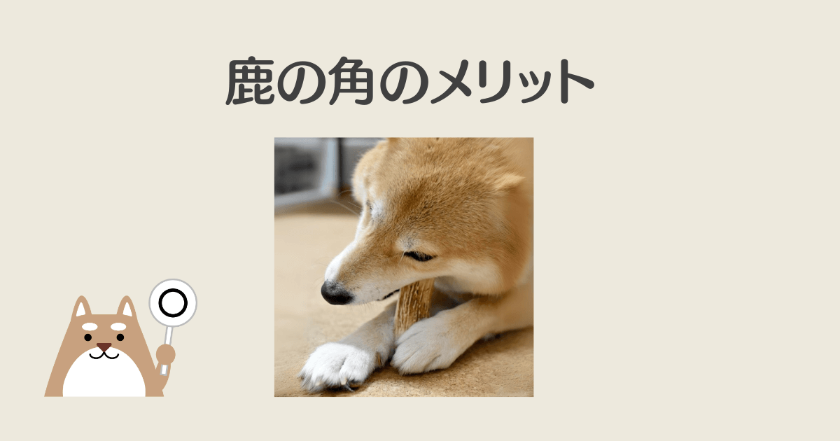 鹿の角 犬 危険 メリット