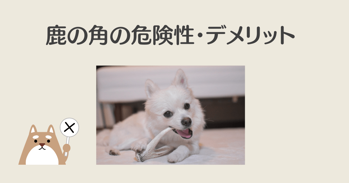 鹿の角 犬 危険 デメリット