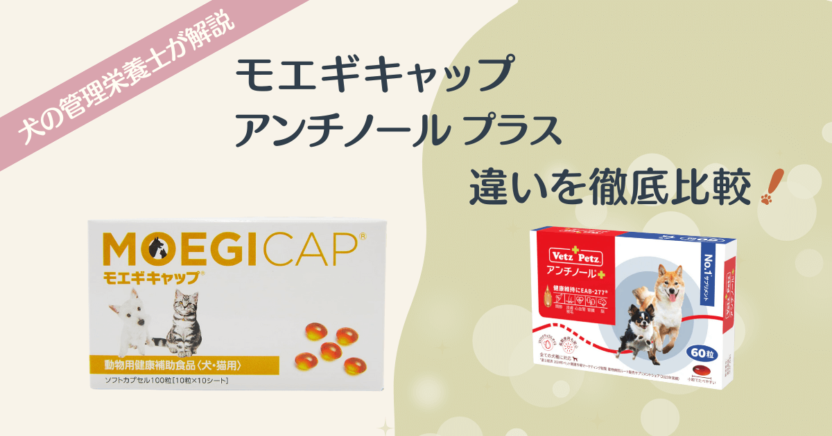 モエギキャップとアンチノールプラスの違いを徹底解説 アイキャッチ画像