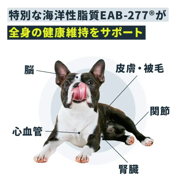アンチノールプラスの効果