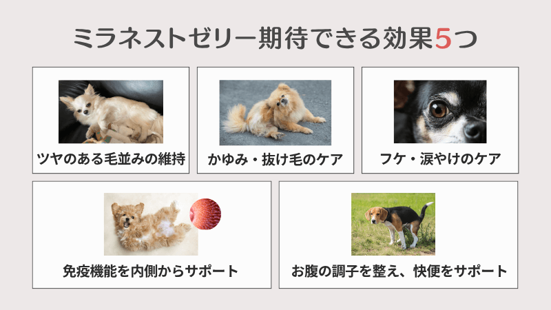 ミラネストゼリー 5つの効果 ツヤツヤ 図解