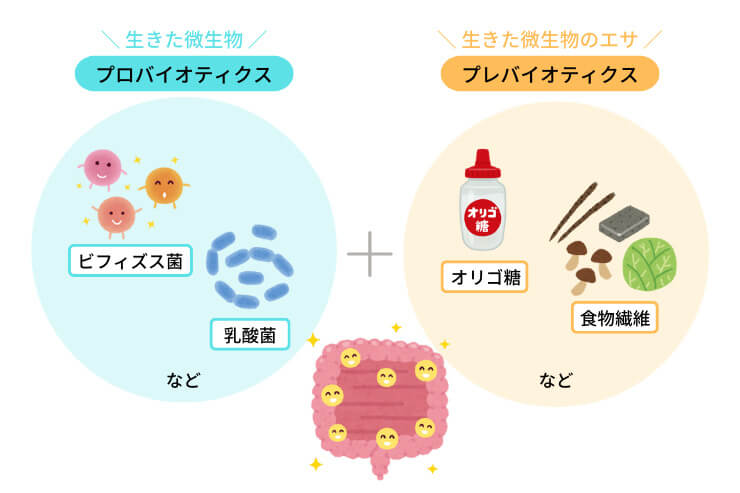 ミラネストゼリー効果 プレバイオティクス図解