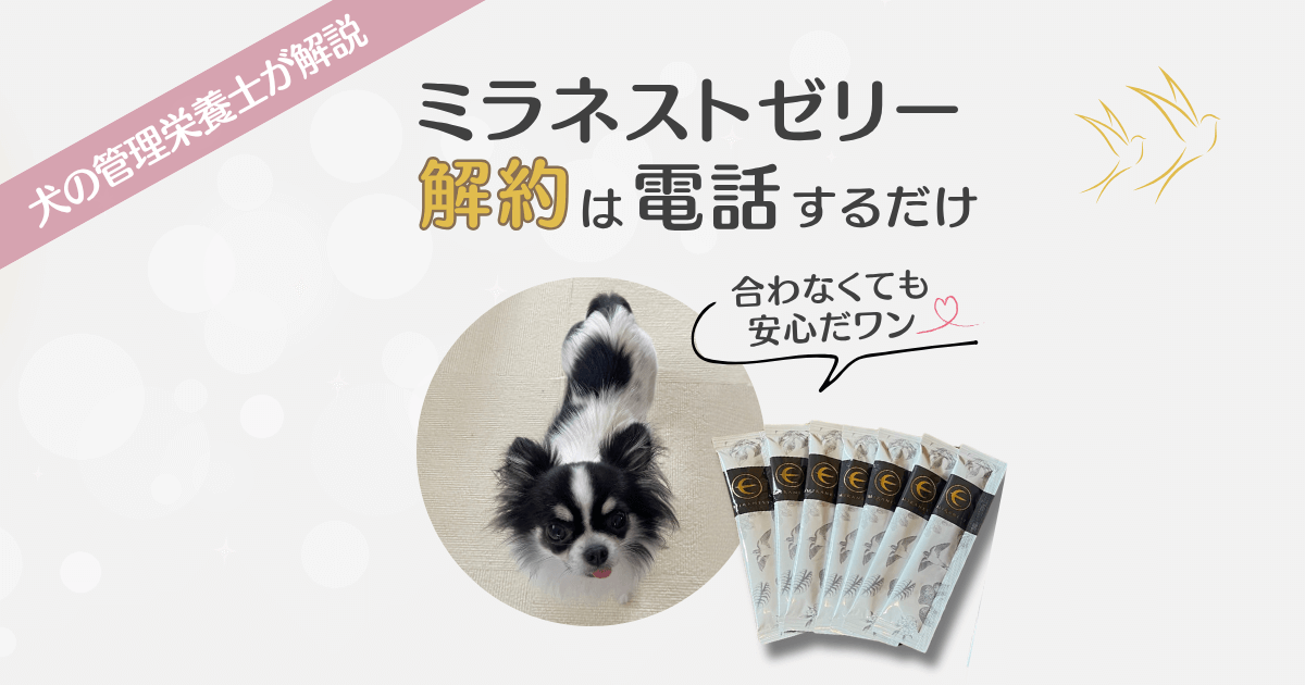 ミラネストゼリー 解約 アイキャッチ画像