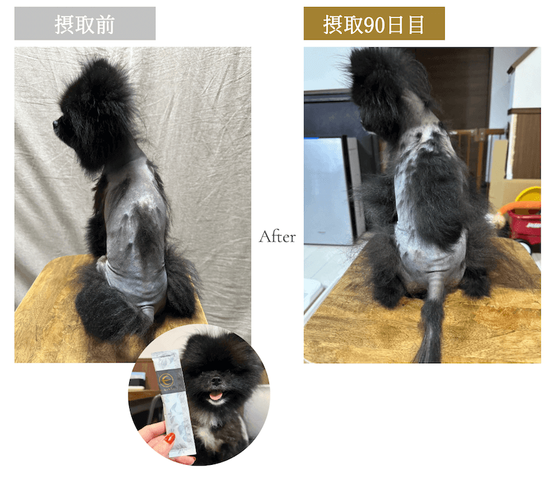 ミラネストゼリー 効果
before after 画像
