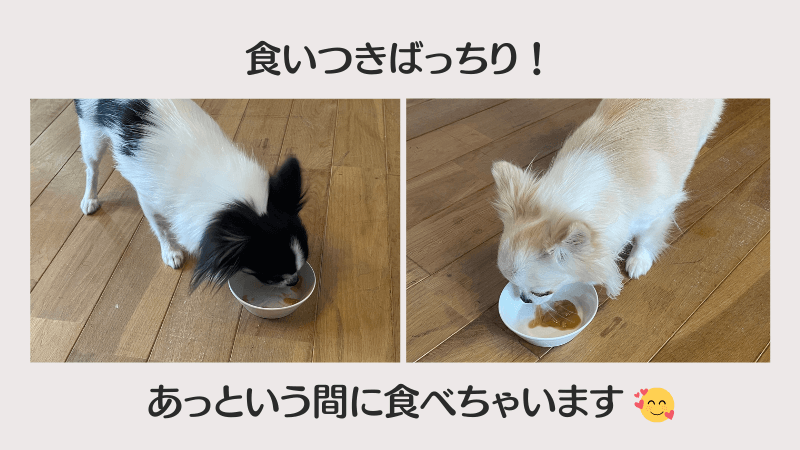ミラネストゼリー 効果 体験談