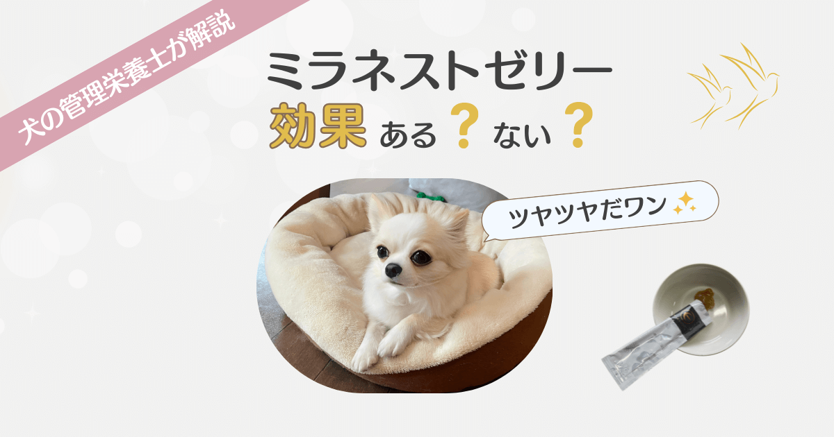 ミラネストゼリー 効果 アイキャッチ画像