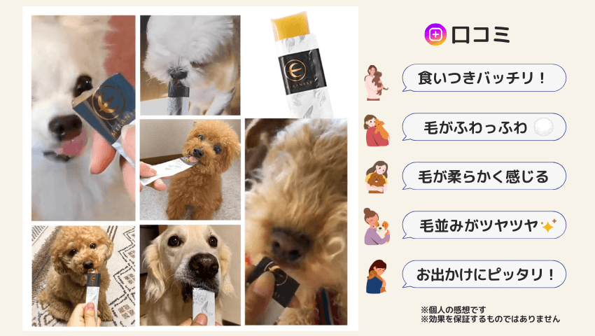 ミラネストゼリー 口コミ