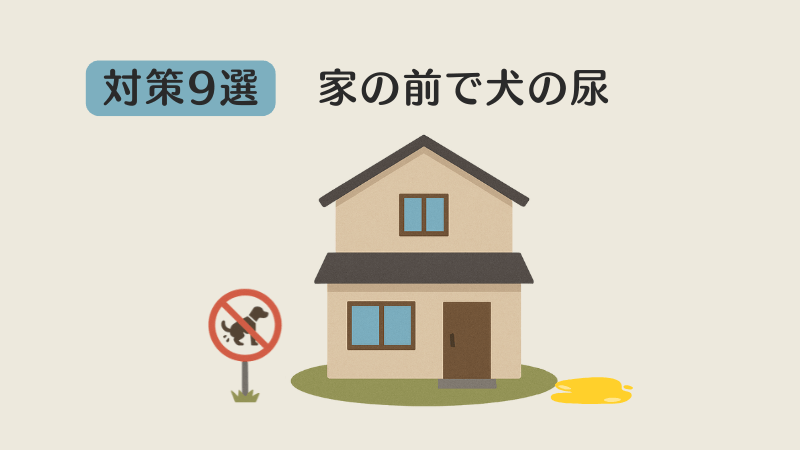 家の前で犬の尿の対策9選