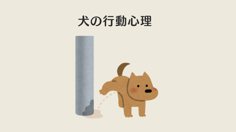 家の前で犬の尿の対策するための犬の行動心理