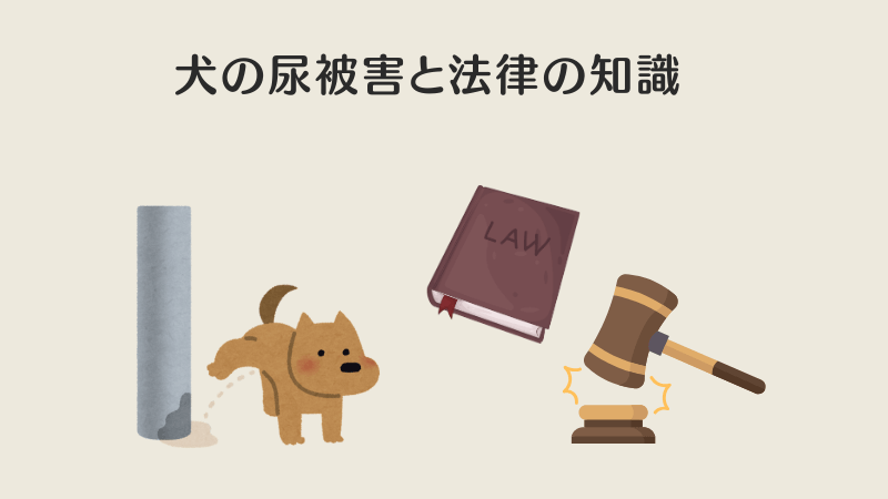 家の前で犬の尿の対策 被害と法律の知識