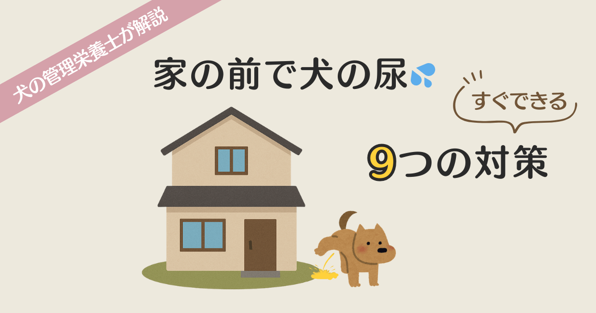 家の前で犬の尿の対策アイキャッチ 画像