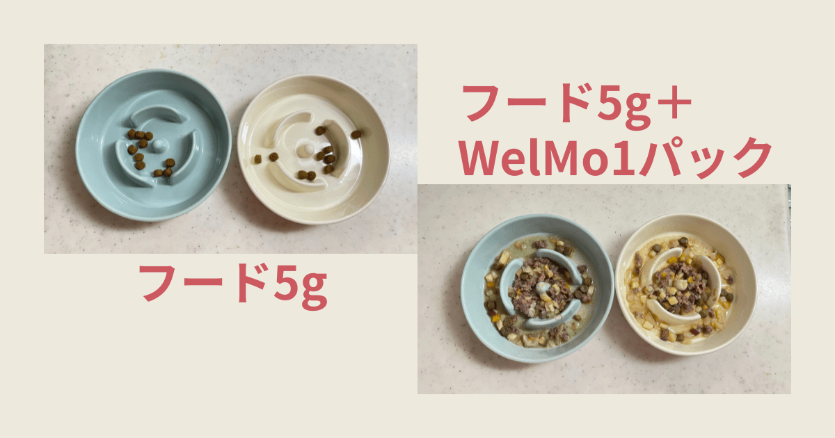 WelMo（ウェルモ）ドッグフード  我が家の場合の与える量