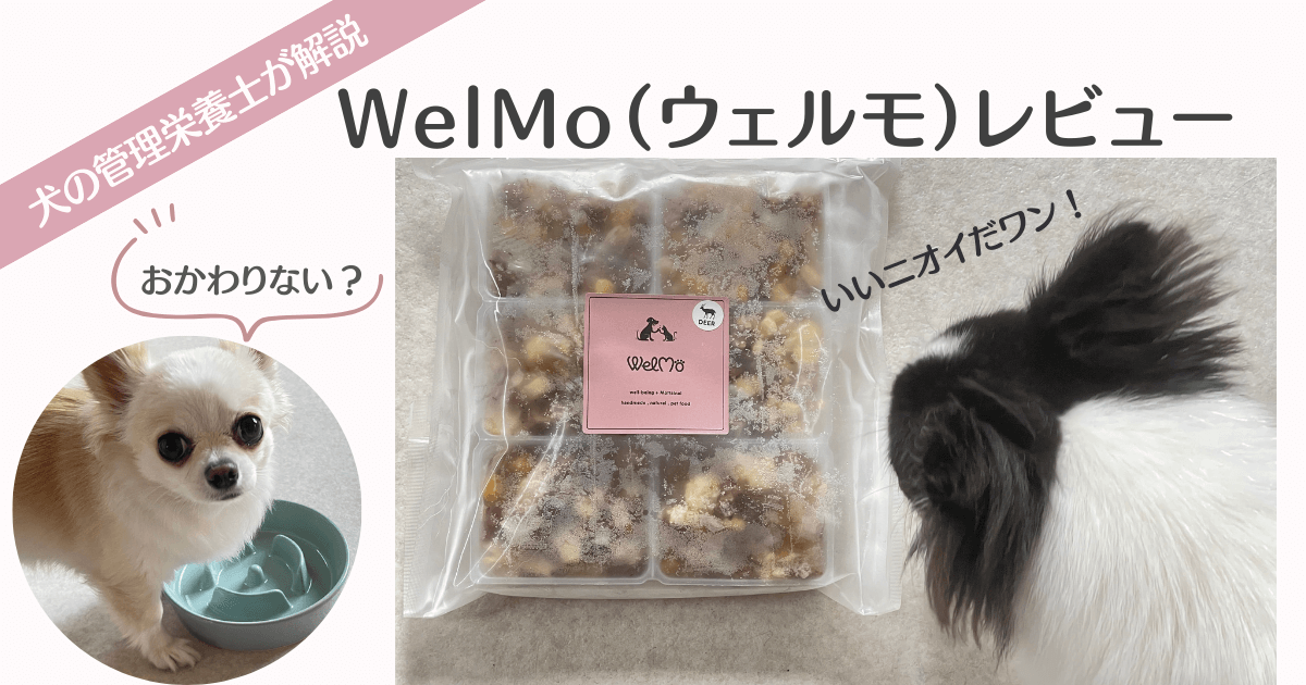 WelMo（ウェルモ）レビュー 実体験 アイキャッチ画像