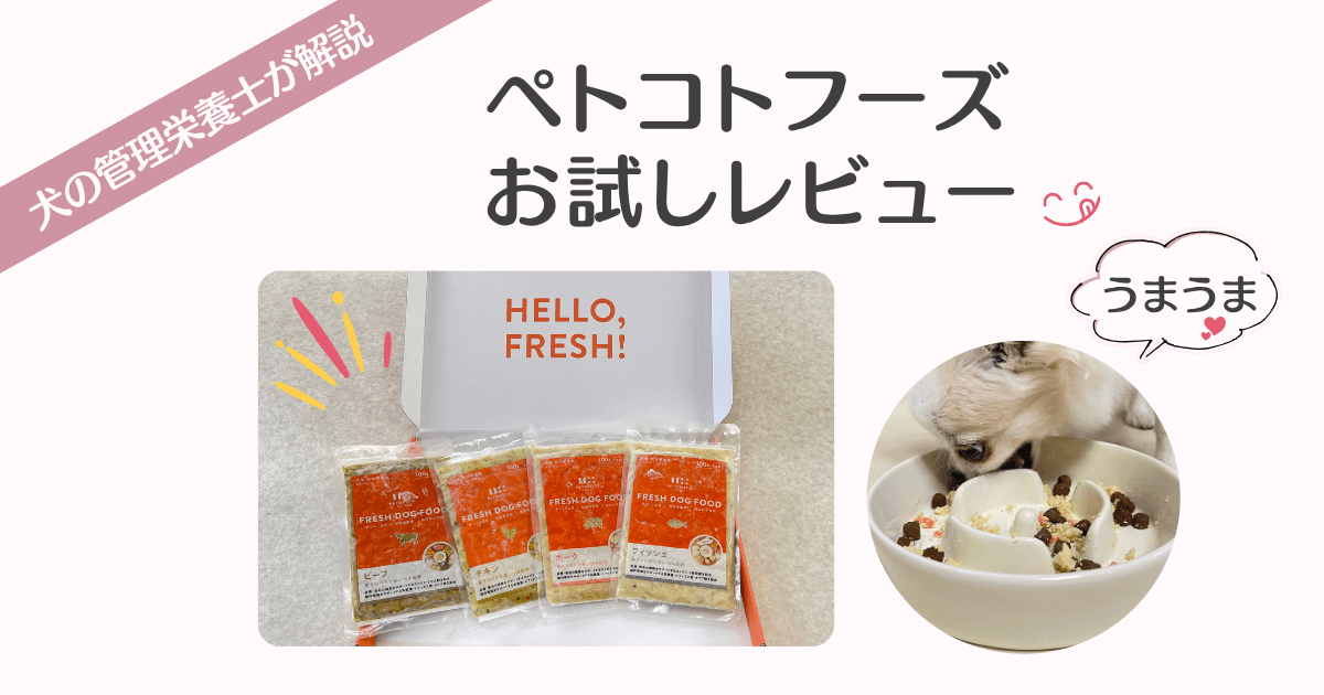 ペトコトフーズ　お試し　レビュー　アイキャッチ画像