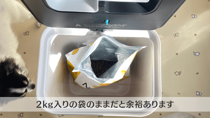 Petaboo自動真空フードストッカー レビュー 実体験 愛犬実写版