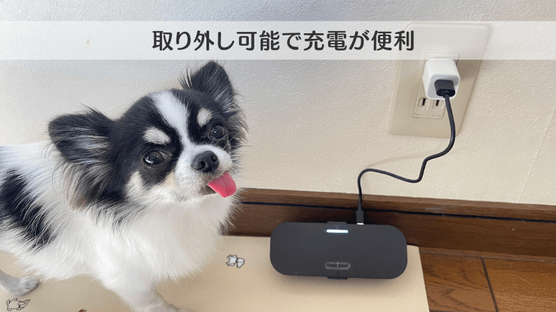 Petaboo自動真空フードストッカー レビュー 実体験 充電画像